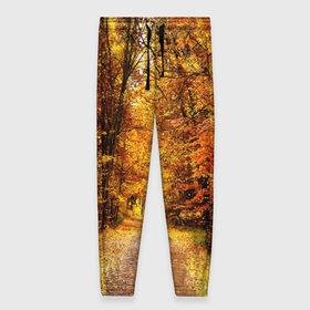 Женские брюки 3D с принтом Осень в Рязани, полиэстер 100% | прямой крой, два кармана без застежек по бокам, с мягкой трикотажной резинкой на поясе и по низу штанин. В поясе для дополнительного комфорта — широкие завязки | autumn | bright | colors | forest | paint | trees | деревья | краски | лес | осень | цвета | яркие