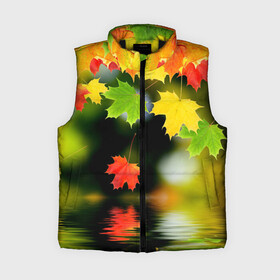 Женский жилет утепленный 3D с принтом Осень в Рязани,  |  | autumn | bright | color | forest | leaves | maple | paint | reflection | river | trees | деревья | клён | краски | лес | листья | осень | отражение | река | цвета | яркие