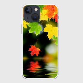 Чехол для iPhone 13 mini с принтом Осень в Рязани,  |  | autumn | bright | color | forest | leaves | maple | paint | reflection | river | trees | деревья | клён | краски | лес | листья | осень | отражение | река | цвета | яркие