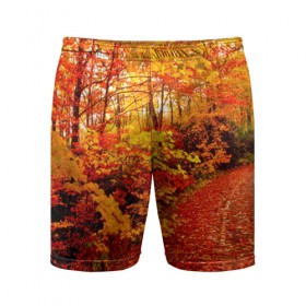 Мужские шорты 3D спортивные с принтом Осень в Рязани,  |  | autumn | bright | colors | forest | paint | trees | деревья | краски | лес | осень | цвета | яркие