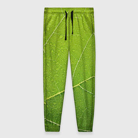 Женские брюки 3D с принтом Листик 2 в Рязани, полиэстер 100% | прямой крой, два кармана без застежек по бокам, с мягкой трикотажной резинкой на поясе и по низу штанин. В поясе для дополнительного комфорта — широкие завязки | зеленый | зелень | лист | природа | растения