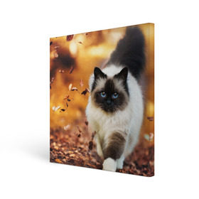 Холст квадратный с принтом Котик в листьях в Рязани, 100% ПВХ |  | грация | кот | котик | кошка | листья | осень