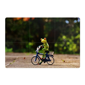 Магнитный плакат 3Х2 с принтом Лягушка в Рязани, Полимерный материал с магнитным слоем | 6 деталей размером 9*9 см | Тематика изображения на принте: велосипед | жаба | животные | лягушка | мини | фигурка