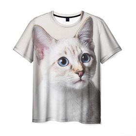 Мужская футболка 3D с принтом Кошечка в Рязани, 100% полиэфир | прямой крой, круглый вырез горловины, длина до линии бедер | кот | котики | котята | кошка | рыженький | рыжий | серенький | черненький