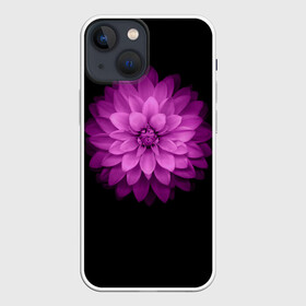 Чехол для iPhone 13 mini с принтом Violet в Рязани,  |  | лепестки | прикольные картинки | фиолетовый | цветочки | цветы