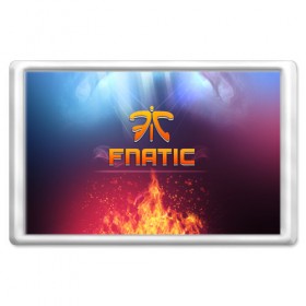 Магнит 45*70 с принтом Fnatic Team в Рязани, Пластик | Размер: 78*52 мм; Размер печати: 70*45 | best team | fnatic | team