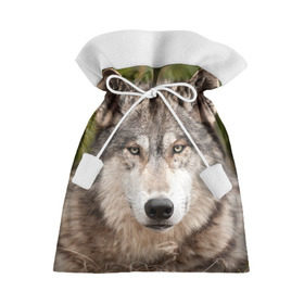 Подарочный 3D мешок с принтом Волк в Рязани, 100% полиэстер | Размер: 29*39 см | Тематика изображения на принте: animal | eyes | forest | predator | wild | wolf | взгляд | волк | дикий | животное | зверь | лес | хищник