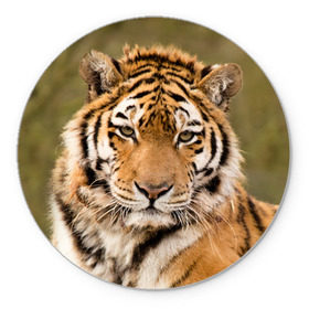 Коврик круглый с принтом Тигр в Рязани, резина и полиэстер | круглая форма, изображение наносится на всю лицевую часть | Тематика изображения на принте: animal | predator | striped | tiger | view | wild | взгляд | дикий | животное | полосатый | тигр | хищник