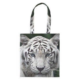 Сумка 3D повседневная с принтом Белый тигр в Рязани, 100% полиэстер | Плотность: 200 г/м2; Размер: 34×35 см; Высота лямок: 30 см | animal | jungle | look | predator | tiger | white | wild | белый | взгляд | джунгли | дикий | животное | тигр | хищник