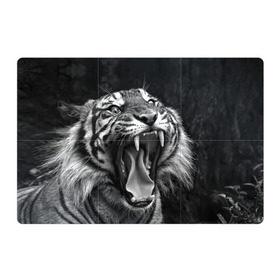 Магнитный плакат 3Х2 с принтом Тигр в Рязани, Полимерный материал с магнитным слоем | 6 деталей размером 9*9 см | animal | black   white | fangs | jaws | jungle | predator | teeth | tiger | wild | джунгли | дикий | животное | клыки | оскал | пасть | тигр | хищник | черно   белый