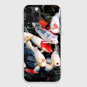 Чехол для iPhone 12 Pro с принтом Koi Fish (карпы кои) в Рязани, силикон | область печати: задняя сторона чехла, без боковых панелей | Тематика изображения на принте: bright | brocade | carp | color | decorative | depth | exotic | fish | koi | koi fish | sea | water | вода | глубина | декоративные | карпы | кои | море | парчовый | рыбки | цвет | экзотические | яркий