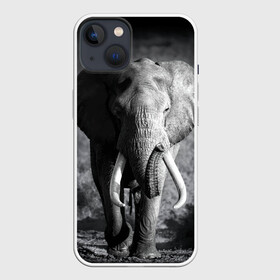 Чехол для iPhone 13 с принтом Слон в Рязани,  |  | africa | animal | big | black   white | elephant | go | road | savannah | wild | африка | большой | дикий | дорога | животное | идет | саванна | слон | черно   белый