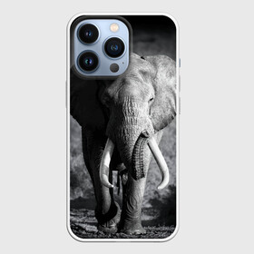 Чехол для iPhone 13 Pro с принтом Слон в Рязани,  |  | africa | animal | big | black   white | elephant | go | road | savannah | wild | африка | большой | дикий | дорога | животное | идет | саванна | слон | черно   белый