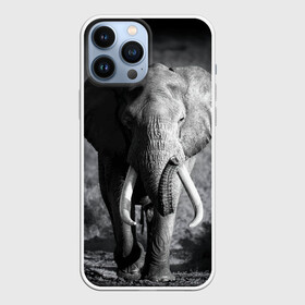 Чехол для iPhone 13 Pro Max с принтом Слон в Рязани,  |  | africa | animal | big | black   white | elephant | go | road | savannah | wild | африка | большой | дикий | дорога | животное | идет | саванна | слон | черно   белый