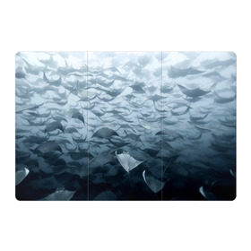 Магнитный плакат 3Х2 с принтом Электрические скаты в Рязани, Полимерный материал с магнитным слоем | 6 деталей размером 9*9 см | Тематика изображения на принте: depth | fish | lot | ocean | power | rays | school | sea | water | вода | глубина | косяк | много | море | океан | рыбы | скаты | электрические