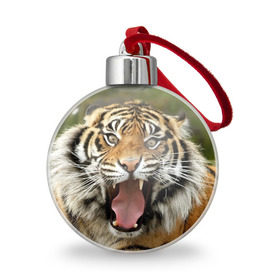 Ёлочный шар с принтом Тигр в Рязани, Пластик | Диаметр: 77 мм | angry | animal | beast | jaws | predator | teeth | tiger | животное | зверь | злой | клыки | оскал | пасть | тигр | хищник