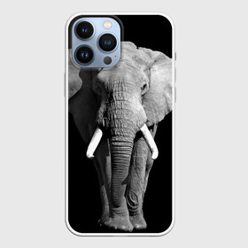 Чехол для iPhone 13 Pro Max с принтом Слон в Рязани,  |  | africa | big | black   white | elephant is an animal | shroud | tusks | африка | бивни | большой | животное | идет | савана | слон | черно   белый