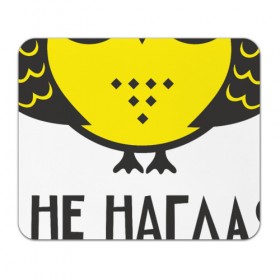 Коврик прямоугольный с принтом Owl. Сова. Я не наглая. в Рязани, натуральный каучук | размер 230 х 185 мм; запечатка лицевой стороны | Тематика изображения на принте: owl | сова | совушка