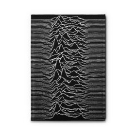 Обложка для автодокументов с принтом Joy Division. Unknown Pleasures в Рязани, натуральная кожа |  размер 19,9*13 см; внутри 4 больших “конверта” для документов и один маленький отдел — туда идеально встанут права | Тематика изображения на принте: joy division | альбом | волны | горы | линии | обложка | панк | рок