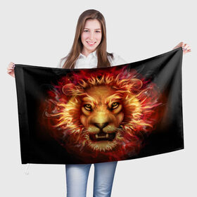 Флаг 3D с принтом Огненный лев в Рязани, 100% полиэстер | плотность ткани — 95 г/м2, размер — 67 х 109 см. Принт наносится с одной стороны | animal | fire | flame | head | lion | look | predator | взгляд | голова | животное | лев | огненный | огонь | пламя | хищник