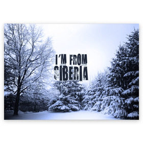 Поздравительная открытка с принтом Я из Сибири в Рязани, 100% бумага | плотность бумаги 280 г/м2, матовая, на обратной стороне линовка и место для марки
 | Тематика изображения на принте: siberia | зима | россия | сибирь | снег | холод