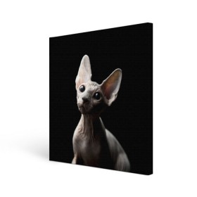 Холст квадратный с принтом Сфинкс в Рязани, 100% ПВХ |  | black | cat | взгляд | кот | котик | котэ | кошка | сфинкс | уши | черный
