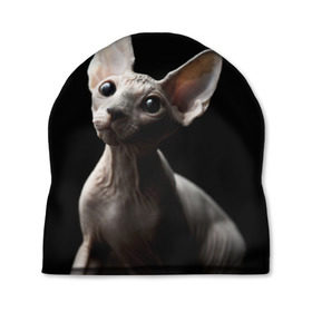 Шапка 3D с принтом Сфинкс в Рязани, 100% полиэстер | универсальный размер, печать по всей поверхности изделия | Тематика изображения на принте: black | cat | взгляд | кот | котик | котэ | кошка | сфинкс | уши | черный