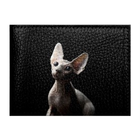 Обложка для студенческого билета с принтом Сфинкс в Рязани, натуральная кожа | Размер: 11*8 см; Печать на всей внешней стороне | Тематика изображения на принте: black | cat | взгляд | кот | котик | котэ | кошка | сфинкс | уши | черный