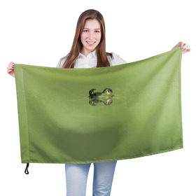 Флаг 3D с принтом Лягушка в Рязани, 100% полиэстер | плотность ткани — 95 г/м2, размер — 67 х 109 см. Принт наносится с одной стороны | болото | жаба | животные | лягушка