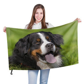 Флаг 3D с принтом Бернский зенненхунд в Рязани, 100% полиэстер | плотность ткани — 95 г/м2, размер — 67 х 109 см. Принт наносится с одной стороны | волкодав | дворняжка | домашние животные | любимец | мопс | овчарка | пес | песик | питомец | сенбернар | собака | собачка