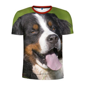 Мужская футболка 3D спортивная с принтом Бернский зенненхунд в Рязани, 100% полиэстер с улучшенными характеристиками | приталенный силуэт, круглая горловина, широкие плечи, сужается к линии бедра | волкодав | дворняжка | домашние животные | любимец | мопс | овчарка | пес | песик | питомец | сенбернар | собака | собачка