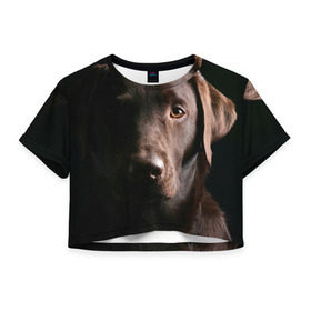 Женская футболка 3D укороченная с принтом Лабрадор в Рязани, 100% полиэстер | круглая горловина, длина футболки до линии талии, рукава с отворотами | далматин | далматинец | дворняга | лабрадор | любимец | овчарка | пес | питомец | самоед | собака | собачка | щенок