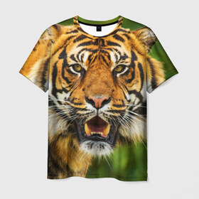 Мужская футболка 3D с принтом Тигр в Рязани, 100% полиэфир | прямой крой, круглый вырез горловины, длина до линии бедер | дикая кошка | животное | клыки | лев | тигр. tiger | хищник