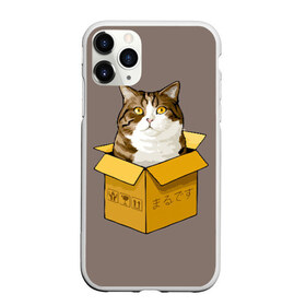 Чехол для iPhone 11 Pro матовый с принтом Maru в Рязани, Силикон |  | cat | maru | коробка | кот в коробке | кот мару | котейка | кошка | мару | прикол