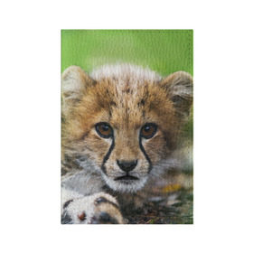 Обложка для паспорта матовая кожа с принтом Котёнок гепарда в Рязани, натуральная матовая кожа | размер 19,3 х 13,7 см; прозрачные пластиковые крепления | Тематика изображения на принте: гепард | дикая кошка | котёнок | кошка | лев | природа | тигр | хищник | ягуар