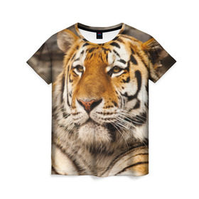 Женская футболка 3D с принтом Тигр в Рязани, 100% полиэфир ( синтетическое хлопкоподобное полотно) | прямой крой, круглый вырез горловины, длина до линии бедер | амурский | животные | киса | кот | котенок | кошка | пума | рысь | серый | тигр | хищник
