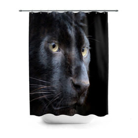 Штора 3D для ванной с принтом Черная пантера в Рязани, 100% полиэстер | плотность материала — 100 г/м2. Стандартный размер — 146 см х 180 см. По верхнему краю — пластиковые люверсы для креплений. В комплекте 10 пластиковых колец | животные | кис | киска | кот | котенок | котик | кошечка | кошка | пантера | рысь | тигр | хищник