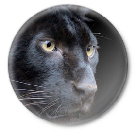 Значок с принтом Черная пантера в Рязани,  металл | круглая форма, металлическая застежка в виде булавки | животные | кис | киска | кот | котенок | котик | кошечка | кошка | пантера | рысь | тигр | хищник
