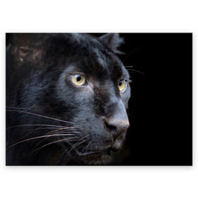 Поздравительная открытка с принтом Черная пантера в Рязани, 100% бумага | плотность бумаги 280 г/м2, матовая, на обратной стороне линовка и место для марки
 | животные | кис | киска | кот | котенок | котик | кошечка | кошка | пантера | рысь | тигр | хищник