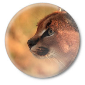 Значок с принтом Рысь в Рязани,  металл | круглая форма, металлическая застежка в виде булавки | Тематика изображения на принте: амурский | животные | киса | кот | котенок | кошка | пума | рысь | серый | тигр | хищник