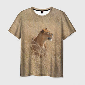 Мужская футболка 3D с принтом Львица в траве в Рязани, 100% полиэфир | прямой крой, круглый вырез горловины, длина до линии бедер | амурский | животные | киса | кот | котенок | кошка | лев | львица | пума | рысь | серый | тигр | хищник