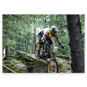 Поздравительная открытка с принтом Велоспорт гонка в Рязани, 100% бумага | плотность бумаги 280 г/м2, матовая, на обратной стороне линовка и место для марки
 | Тематика изображения на принте: велик | велосипед | гонка | горы | деревья | железный конь | колесо | лес | лисапед | природа | ровер | спорт | спортсмен | стальной конь | тандем | трицикл | шлем