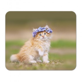 Коврик прямоугольный с принтом Веночек в Рязани, натуральный каучук | размер 230 х 185 мм; запечатка лицевой стороны | василёк | венок | котёнок | кошка | цветок