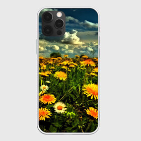 Чехол для iPhone 12 Pro Max с принтом Одуванчики в Рязани, Силикон |  | Тематика изображения на принте: пейзаж | поле | цветы