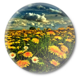 Значок с принтом Одуванчики в Рязани,  металл | круглая форма, металлическая застежка в виде булавки | Тематика изображения на принте: пейзаж | поле | цветы