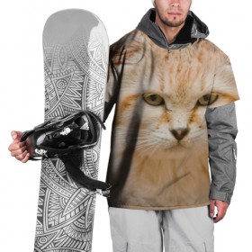 Накидка на куртку 3D с принтом Рыжий кот в Рязани, 100% полиэстер |  | грустный | добрый | животное | киса | киска кися | кот | котенок | котэ | кошка | красивый | лапа | лапка | ласковый | милый | моська | мурлыка | прикольный | смешной | унылый | усатый | шерсть