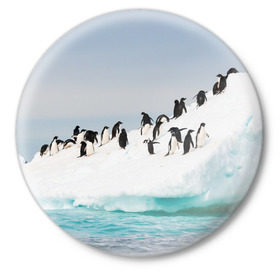 Значок с принтом Пингвины на айсберге в Рязани,  металл | круглая форма, металлическая застежка в виде булавки | айсберг | антарктида | антарктика | арктика | буревестник | глупый | императорский | клюв | королевский | крылья | ласты | лёд | линукс | океан | пилигрим | полюс | птица | север | снег | умка | фрак