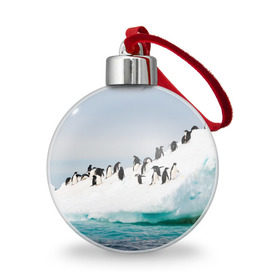 Ёлочный шар с принтом Пингвины на айсберге в Рязани, Пластик | Диаметр: 77 мм | айсберг | антарктида | антарктика | арктика | буревестник | глупый | императорский | клюв | королевский | крылья | ласты | лёд | линукс | океан | пилигрим | полюс | птица | север | снег | умка | фрак