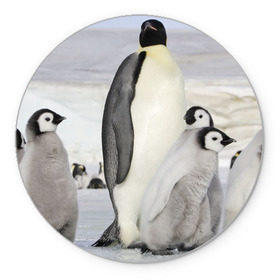 Коврик круглый с принтом Пингвин и пингвинята в Рязани, резина и полиэстер | круглая форма, изображение наносится на всю лицевую часть | айсберг | антарктида | антарктика | арктика | буревестник | глупый | императорский | клюв | королевский | крылья | ласты | лёд | линукс | океан | пилигрим | полюс | птица | север | снег | умка | фрак