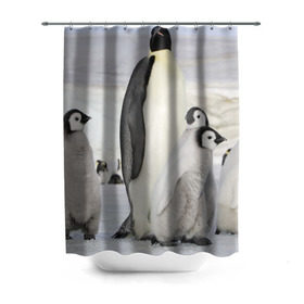 Штора 3D для ванной с принтом Пингвин и пингвинята в Рязани, 100% полиэстер | плотность материала — 100 г/м2. Стандартный размер — 146 см х 180 см. По верхнему краю — пластиковые люверсы для креплений. В комплекте 10 пластиковых колец | айсберг | антарктида | антарктика | арктика | буревестник | глупый | императорский | клюв | королевский | крылья | ласты | лёд | линукс | океан | пилигрим | полюс | птица | север | снег | умка | фрак